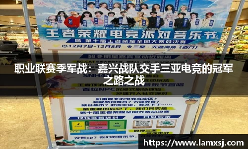 职业联赛季军战：嘉兴战队交手三亚电竞的冠军之路之战