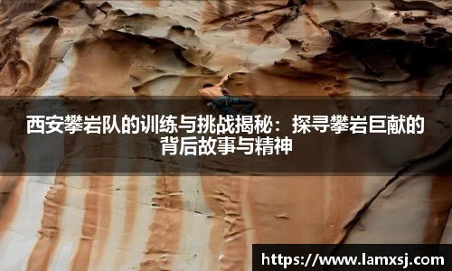 bsports登录入口
